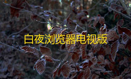 低价货源卡网抖音业务白夜浏览器电视版